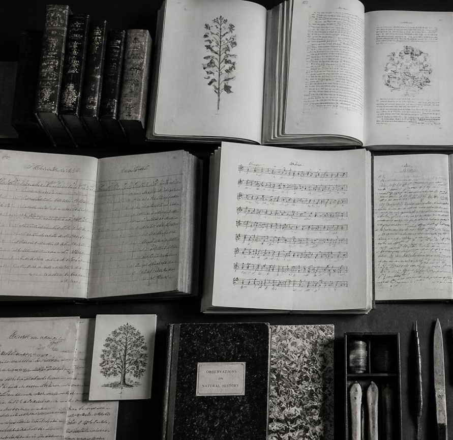 Manuscript Maze | Ventrive Hive